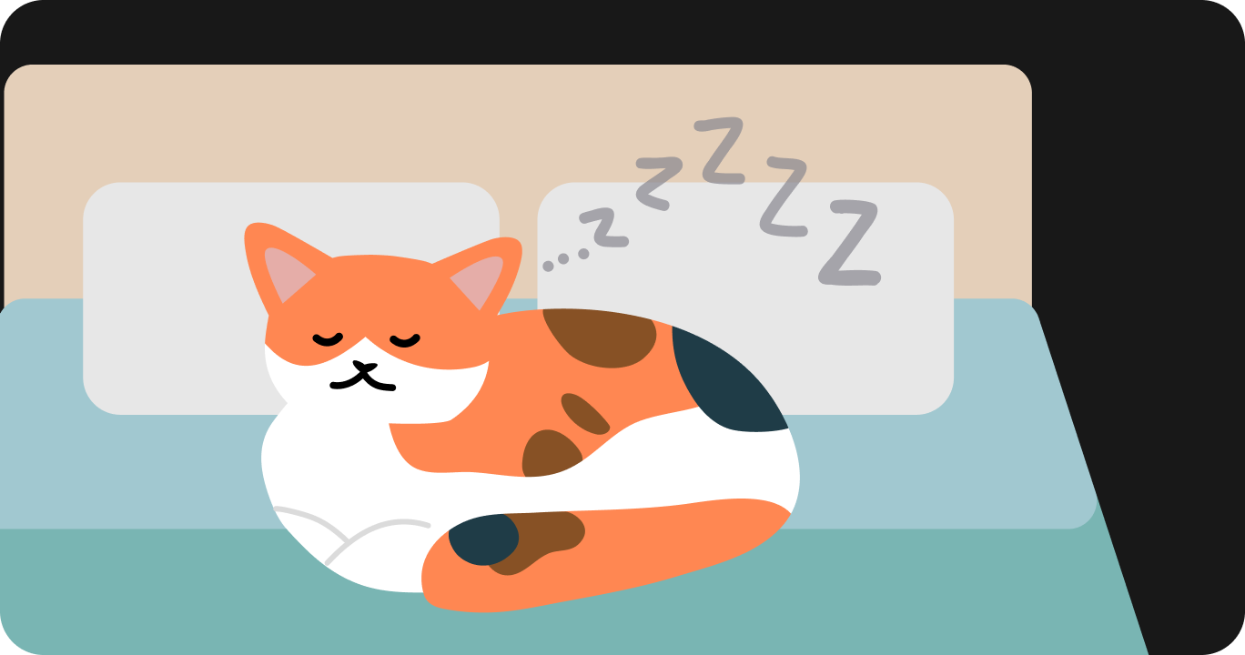 猫が睡眠に与える影響