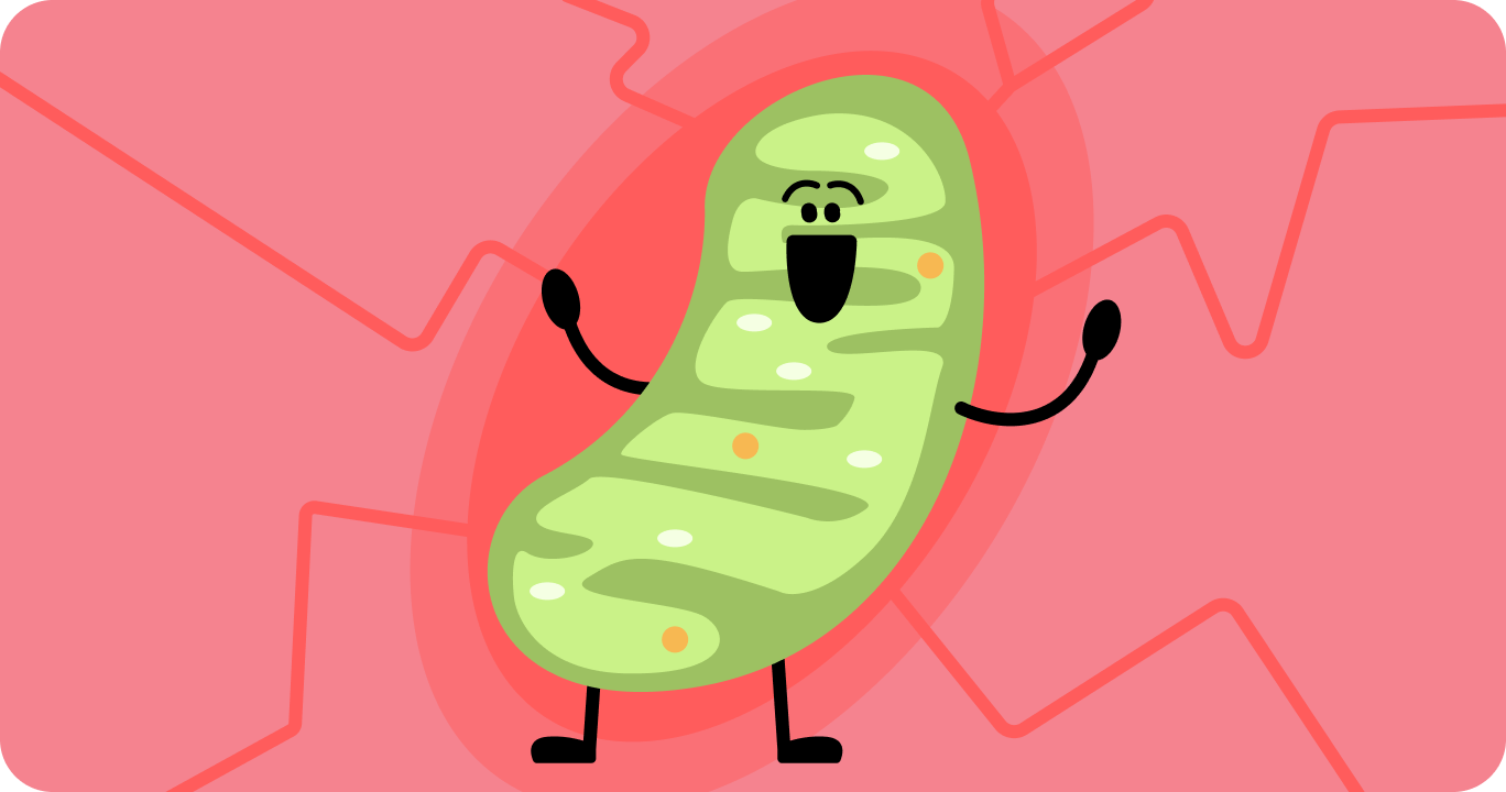 赤色光が皮膚に浸透して細胞を活性化する様子を示した図